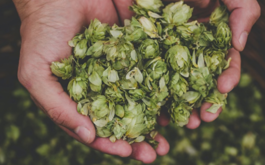 haccoba ã¯ãªãããããã¹ 500mlÃ2æ¬ | é
ãµã± ãã ã¯ã©ãããµã± Craft Sake Brewery ã©ã¶ãã ããã ã¢ããããã ç±³ æ¥æ¬é
ããŒã« ã¯ã©ããããŒã«