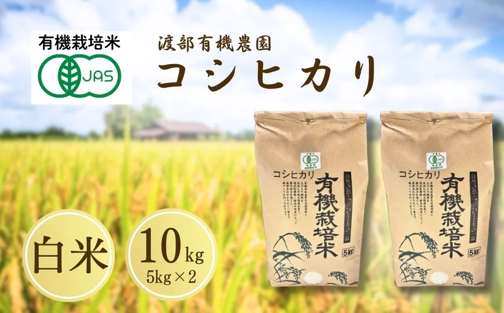 JAS有機米 コシヒカリ 白米 10kg ( 5kg ×2) 令和7年産 | JAS 有機米 精米 コメ 米 こめ ブランド米 銘柄 福島 福島県産 渡部有機農園