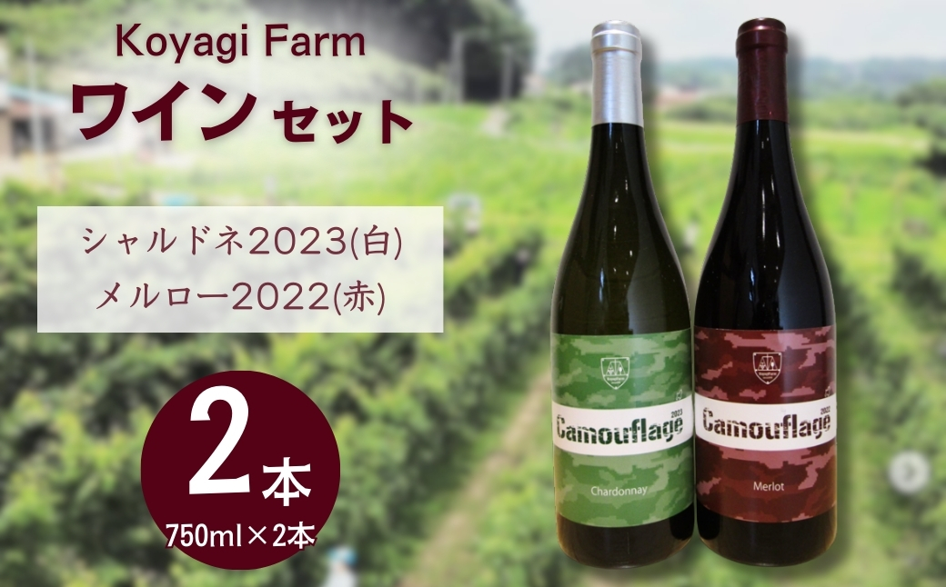 ワイン 2本セット メルロー 2022 (赤) ＋ シャルドネ 2023 (白)【110076-002-01】