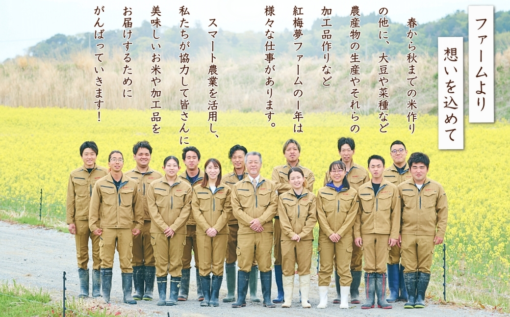 天のつぶ「新世代」 白米 10kg | 令和7年産 2025年産 米10kg 精米 米10キロ ごはん 福島県産 南相馬 福島 紅梅夢ファーム