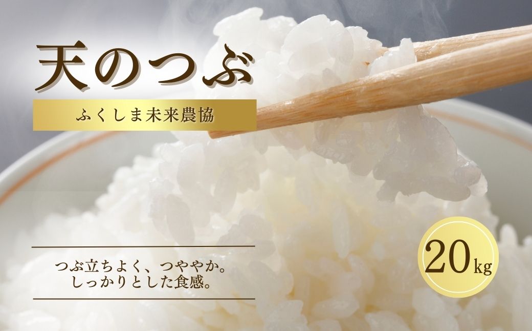 白米 20kg 天のつぶ 令和7年産 | 精米コメ ごはん ブランド米 大粒 福島 福島県産 南相馬 ふくしま未来農協 JA