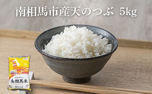 【令和6年産】南相馬市産「天のつぶ」５kg　ふくしま未来農協【2200101】