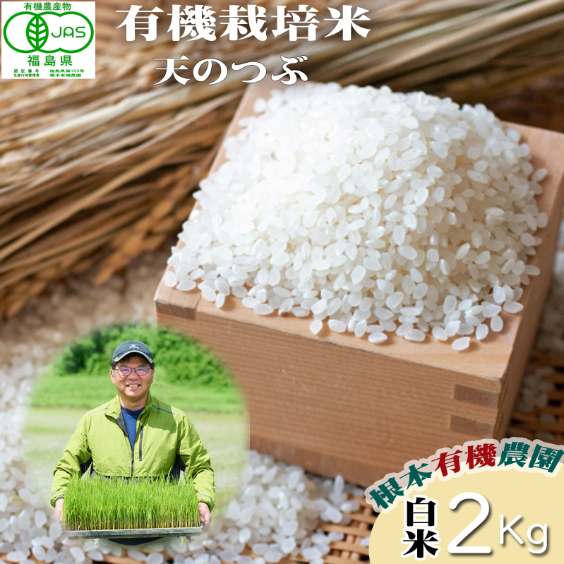 【令和6年産】南相馬・根本有機農園のJAS有機米天のつぶ2kg(白米）【3004201】