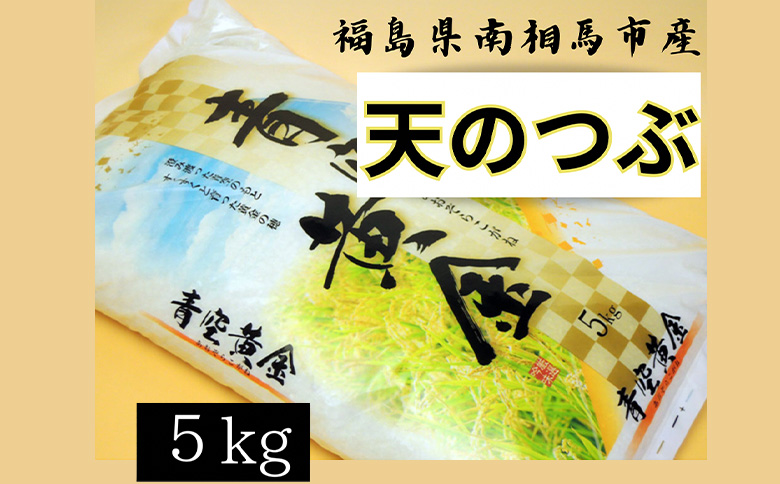 【令和6年米】アグリロードの天のつぶ5kg(5kg×1)【69002】