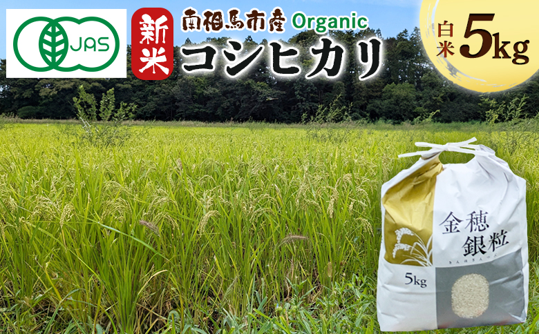 有機米コシヒカリ 5kg みさき未来 令和6年度産 5キロ 新米 有機 JAS認証 白米 精米 有機米 米 コメ ごはん ブランド米 コシヒカリ 南相馬 福島 福島県産 お取り寄せ 炊き立て ツヤ 旨み 送料無料 ふるさと納税 オンライン申請【70001】