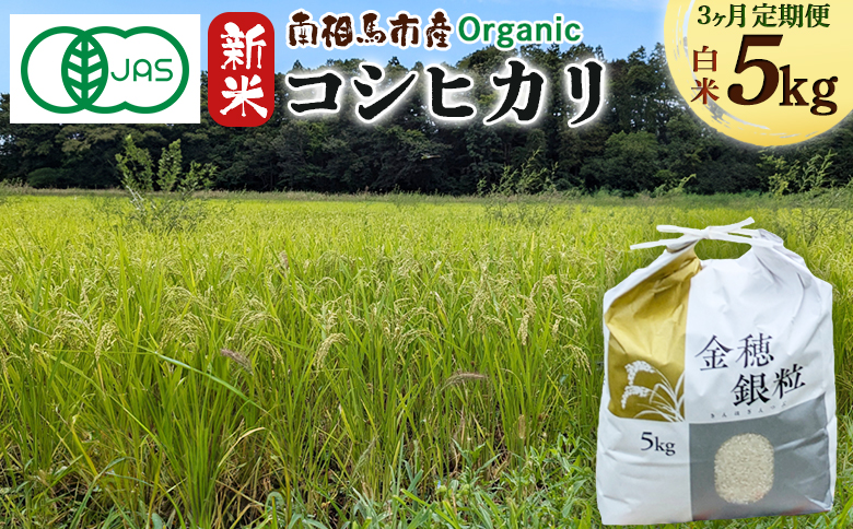 【毎月定期便】 有機米コシヒカリ 5kg × 3回 みさき未来 令和6年度産 15キロ 新米 有機 JAS認証 白米 精米 有機米 米 コメ ごはん ブランド米 コシヒカリ 南相馬 福島 福島県産 お取り寄せ 炊き立て ツヤ 旨み 送料無料 ふるさと納税 オンライン申請【70006】