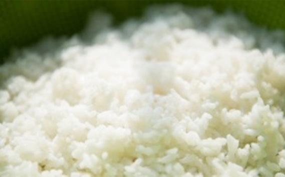 çŠå³¶çæ¡æçºç£ããã²ãããéããããã10kg No.252