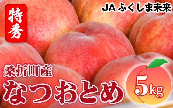 No.174 もも（なつおとめ）特秀　5kg　桑折町産　JAふくしま未来　桃