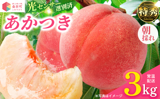 もも【あかつき・2026年産】特秀約3kg「献上桃の郷ブランド品」桑折町産　JAふくしま未来　桃　【07301-0096】