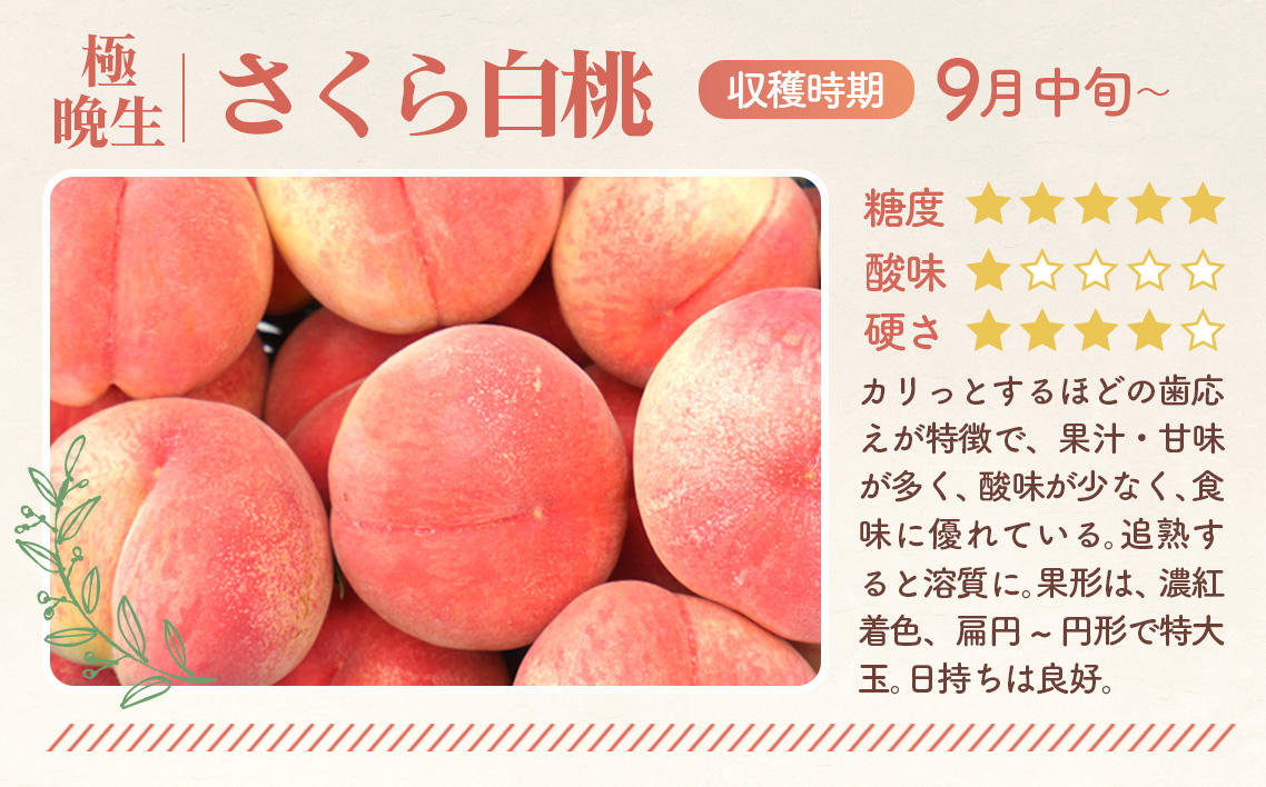 繧ゅb縲舌&縺上i逋ス譯繝サ2026蟷エ逕」蜈郁。悟女莉倥醍音遘1.5kg縲譯第釜逕コ逕」縲JA縺オ縺上@縺セ譛ェ譚・縲譯 No.168