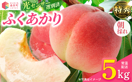 もも【ふくあかり・2027年産先行予約】特秀　5kg　桑折町産　JAふくしま未来　桃 ／ もも モモ 果物 フルーツ 旬 甘い 甘み ジューシー 果肉 果汁 新鮮 フレッシュ デザート おいしい 産地直送 桑折 こおり こおりまち 福島県 特産品 献上桃の郷 【07301-0173】