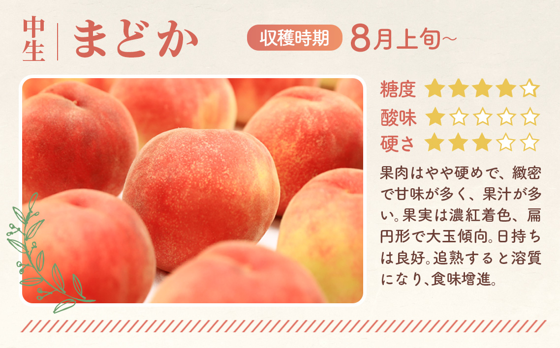 もも【まどか・2026年産先行受付】特秀1.2kg　桑折町産　JAふくしま未来　桃 No.225