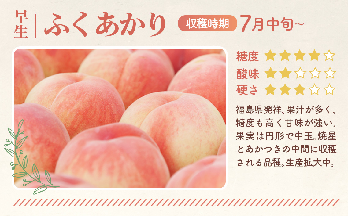 もも【ふくあかり・2026年産先行受付】特秀1.2kg　桑折町産　JAふくしま未来　桃 No.223
