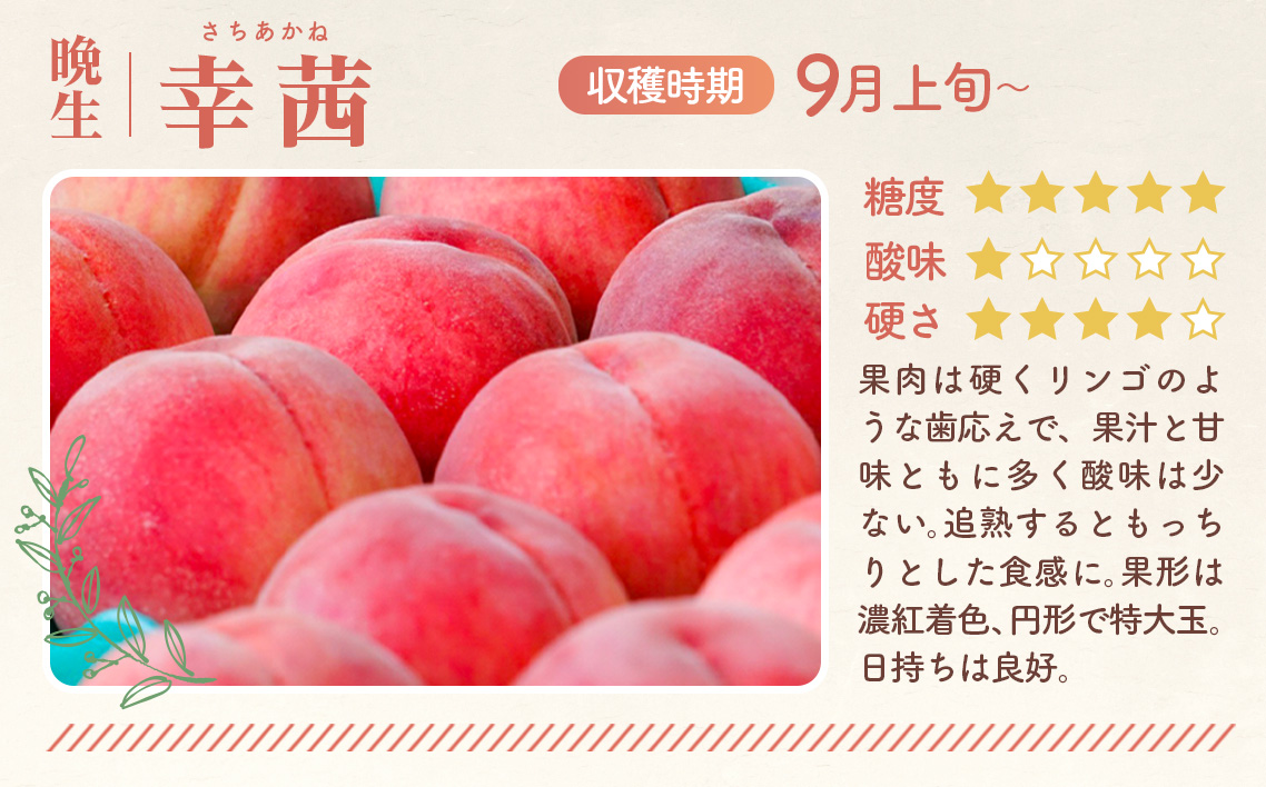 もも【幸茜・2026年産先行受付】特秀1.2kg　桑折町産　JAふくしま未来　桃 No.228