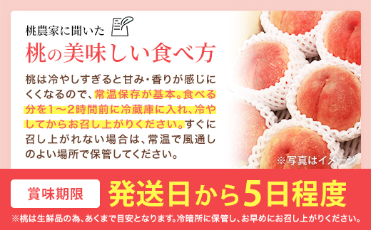 もも【まどか・2027年産先行予約】特秀　3kg　桑折町産　JAふくしま未来　桃 ／ もも モモ 果物 フルーツ 旬 甘い 甘み ジューシー 果肉 果汁 新鮮 フレッシュ デザート おいしい 産地直送 桑折 こおり こおりまち 福島県 特産品 献上桃の郷【07301-0097】