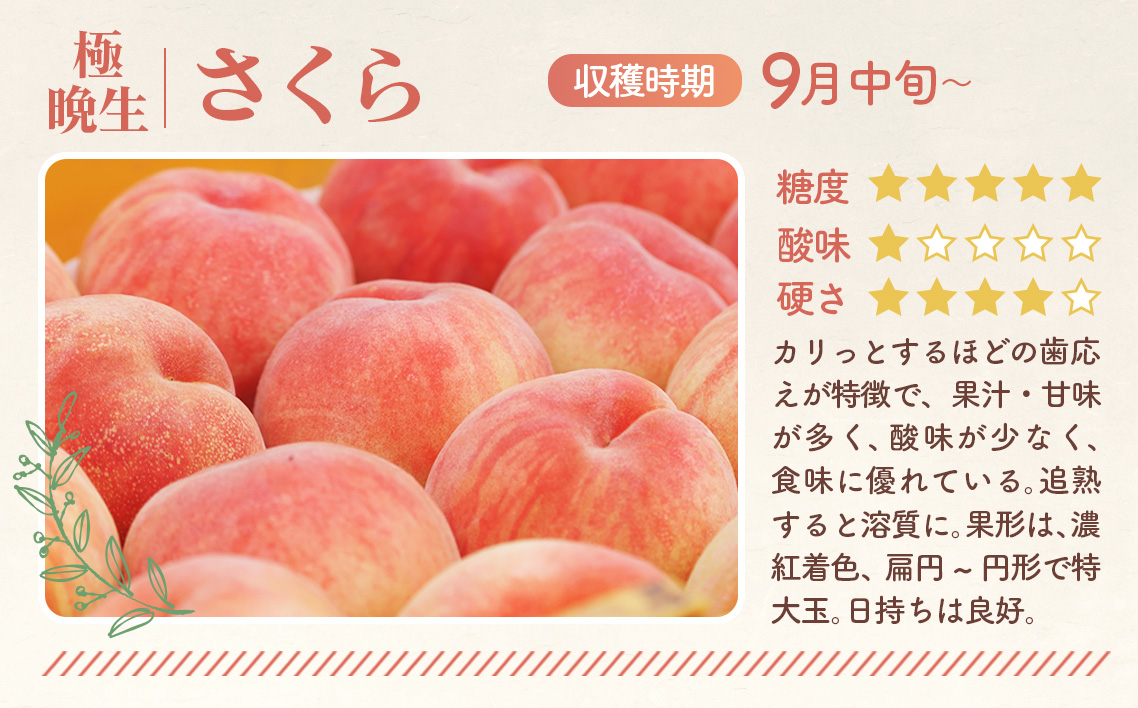 ããããããã»2026幎ç£å
è¡åä»ãç¹ç§3kgïŒ8ã11çïŒæ¡æçºæ¯èå
¬ç€Ÿãæ¡ No.187