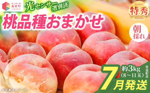 もも【2026年産7月発送／品種おまかせ】特秀3kg（8〜11玉）桑折町振興公社　【07301-0232】