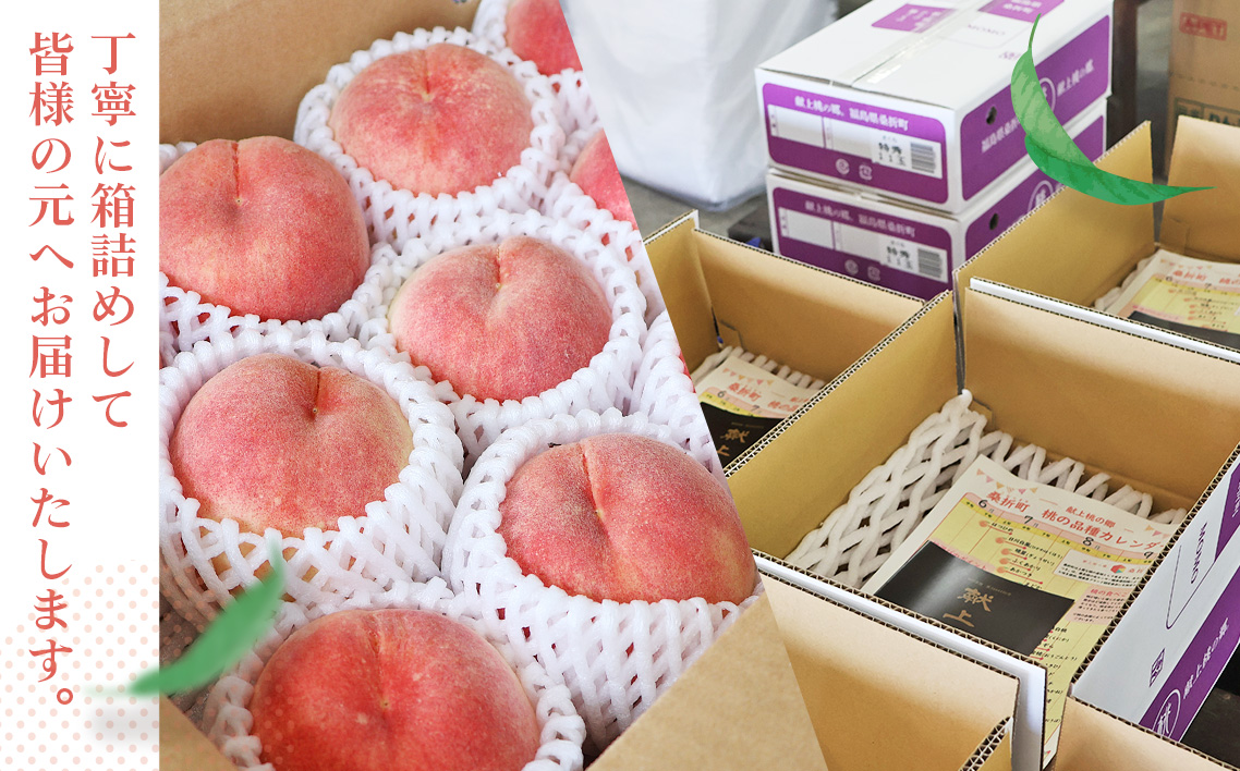 もも【だてか白桃・2026年産先行受付】特秀3kg（8〜11玉）桑折町振興公社　桃 No.180