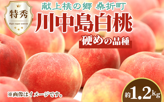 No.227 もも（川中島白桃）特秀　1.2kg　桑折町産　JAふくしま未来　桃