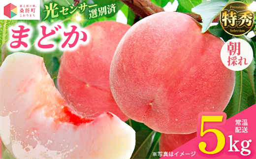 もも【まどか・2026年産】特秀　5kg　桑折町産　JAふくしま未来　桃　【07301-0235】