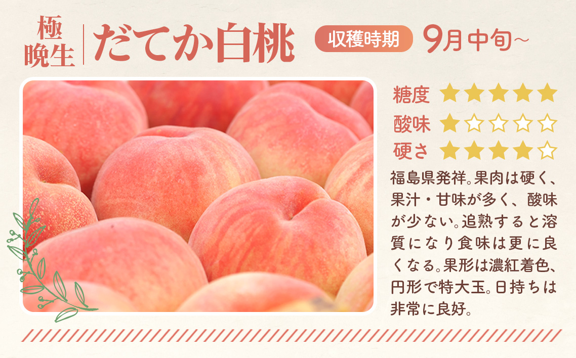 もも【だてか白桃・2026年産先行受付】特秀3kg（8〜11玉）桑折町振興公社　桃 No.180