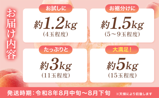 もも【川中島白桃・2026年産】特秀1.2kg　桑折町産　JAふくしま未来　桃　【07301-0227】
