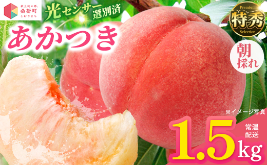 もも【あかつき・2026年産】特秀1.5kg「献上桃の郷ブランド品」桑折町産　JAふくしま未来　桃　献上桃の郷　【07301-0136】