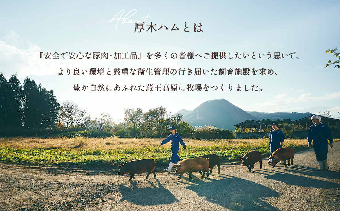 【4品】ロイヤルピーチポーク加工品セット（ウィンナー・ハム） No.200