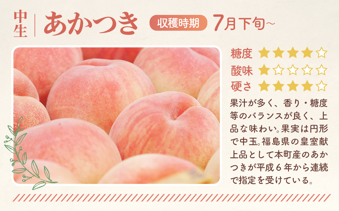 もも【あかつき・2026年産】特秀1.2kg「献上桃の郷ブランド品」桑折町産　JAふくしま未来　桃 No.224