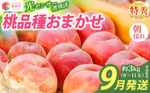 もも【2026年産9月発送／品種おまかせ】特秀3kg（8〜11玉）桑折町振興公社　【07301-0234】
