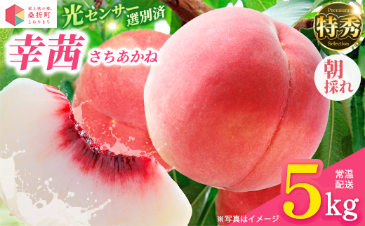 もも【幸茜・2026年産】特秀　5kg　桑折町産　JAふくしま未来　桃　献上桃の郷　【07301-0142】