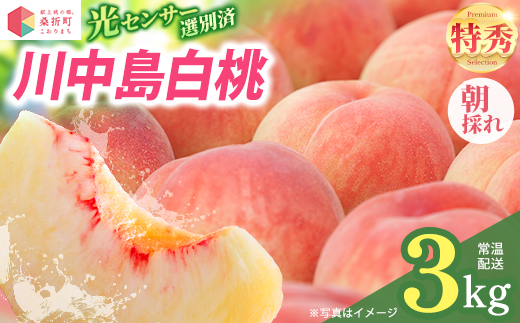 もも【川中島白桃・2026年産】特秀3kg（9〜11玉）桑折町振興公社　献上桃の郷　【07301-0184】