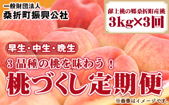 【2026年産先行受付・献上桃の郷桑折町産もも】定期便3kg×3回 品種おまかせ  No.255