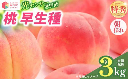 もも【早生種・2026年産】特秀3kg（10〜12玉）桑折町振興公社　【07301-0231】