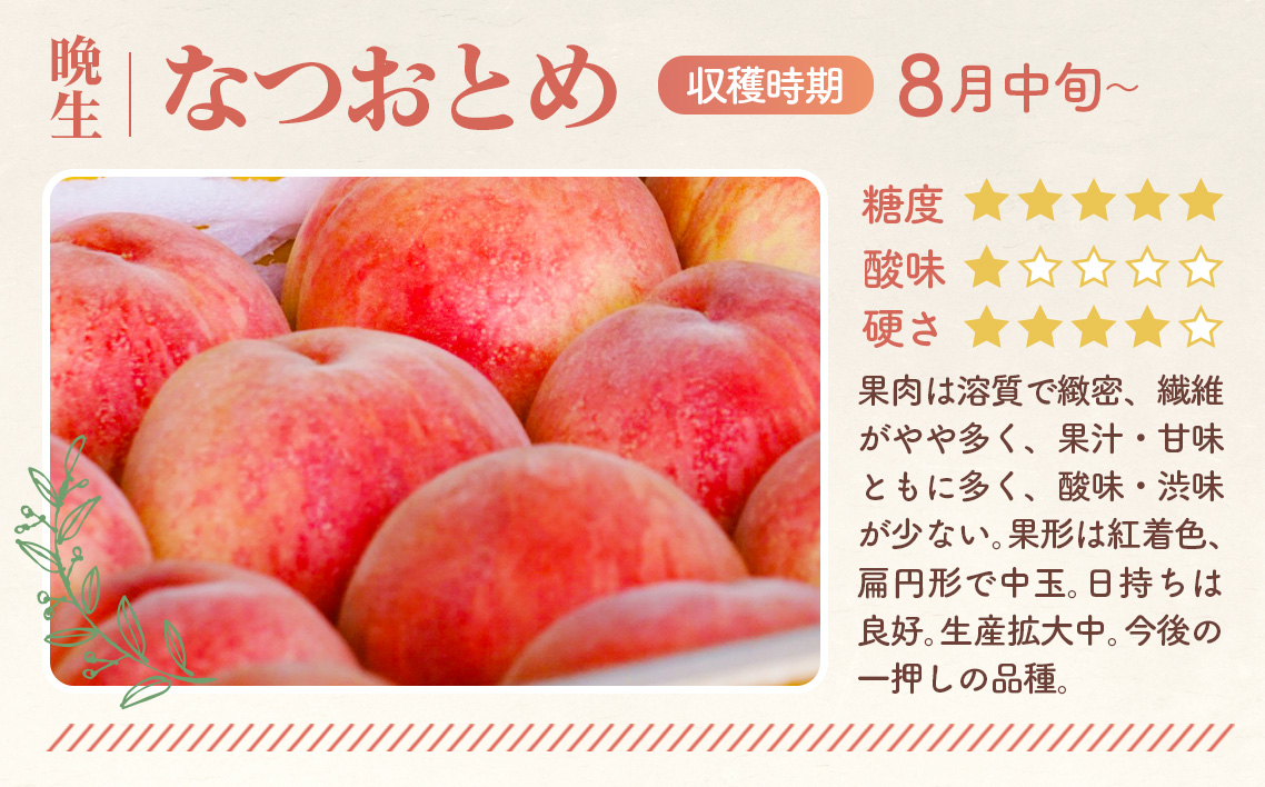 もも【なつおとめ・2026年産先行受付】特秀1.5kg　桑折町産　JAふくしま未来　桃 No.167