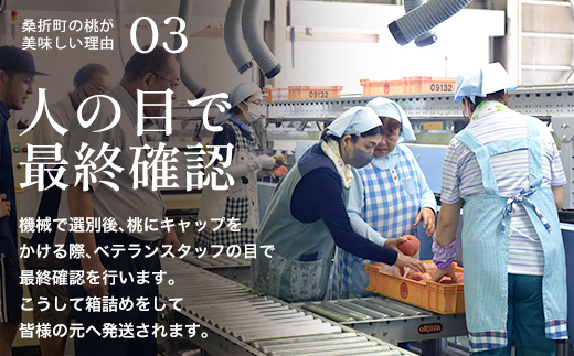 もも【2026年産8月発送/品種おまかせ】特秀3kg（8〜11玉）桑折町振興公社　献上桃の郷　【07301-0233】
