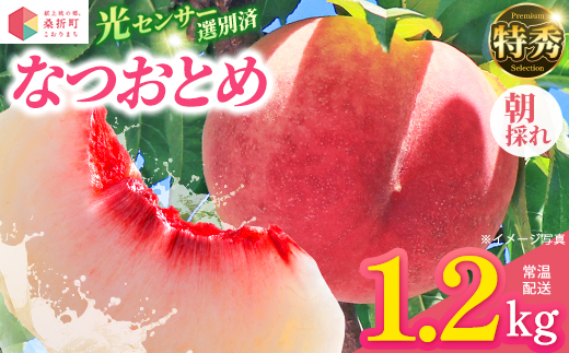 もも【なつおとめ・2026年産】特秀1.2kg　桑折町産　JAふくしま未来　桃　【07301-0226】