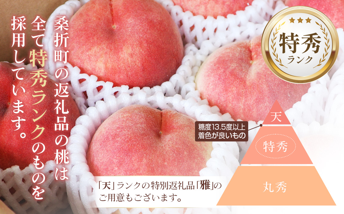 桃づくし定期便3品種【2026年産先行受付・献上桃の郷桑折町産もも3kg×3回】 No.220
