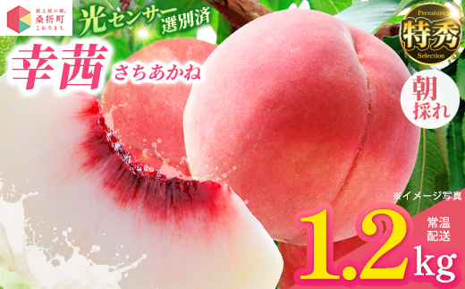 もも【幸茜・2026年産】特秀1.2kg　桑折町産　JAふくしま未来　桃　【07301-0228】