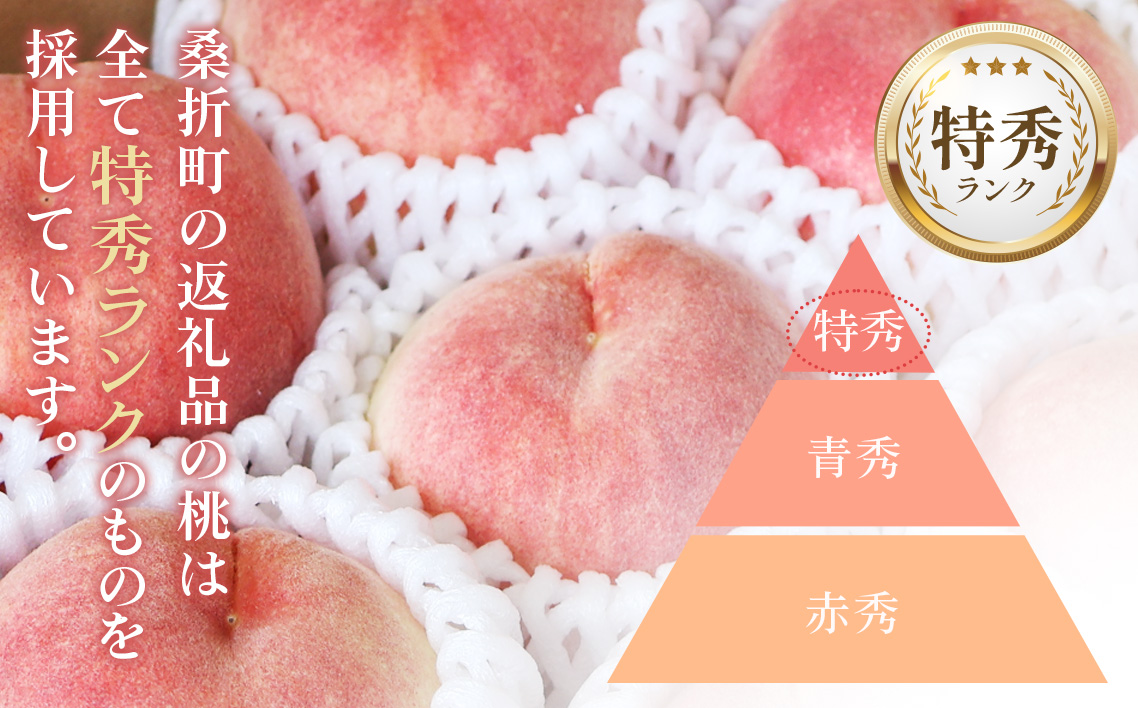 もも【さくら白桃・2026年産先行受付】特秀1.2kg　桑折町産　JAふくしま未来　桃 No.229