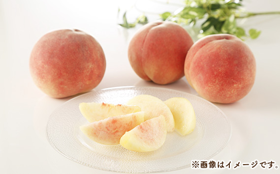 桃づくし定期便3品種【2026年産先行受付・献上桃の郷桑折町産もも3kg×3回】 No.220