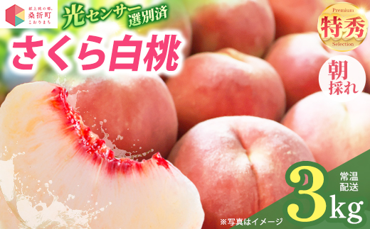 もも【さくら・2026年産】特秀3kg（8〜11玉）桑折町振興公社　桃　献上桃の郷　【07301-0187】
