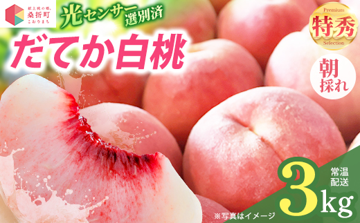もも【だてか白桃・2026年産】特秀3kg（8〜11玉）桑折町振興公社　桃　献上桃の郷　【07301-0180】