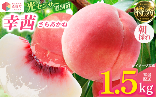もも【幸茜・2026年産】特秀1.5kg　桑折町産　JAふくしま未来　桃　献上桃の郷　【07301-0139】