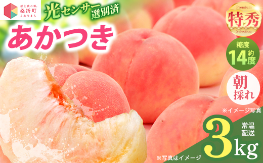 もも【あかつき・2026年産】特秀3kg（9〜11玉）桑折町振興公社　献上桃の郷　【07301-0181】