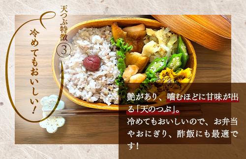 【令和7年産】【全3回定期便】米　 国見町産　天のつぶ 10kg（5kg×2袋）　 3回定期便 ※沖縄・離島への配送不可 ※2025年10月中旬～2026年2月頃に順次発送予定