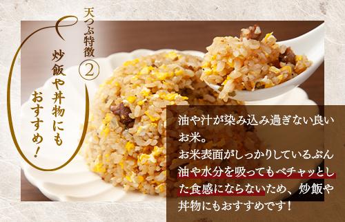 【令和7年産】【全3回定期便】米　 国見町産　天のつぶ 10kg（5kg×2袋）　 3回定期便 ※沖縄・離島への配送不可 ※2025年10月中旬～2026年2月頃に順次発送予定