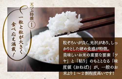 【令和7年産】【全5回定期便】米　国見町産　天のつぶ  10kg（5kg×2袋）　5回定期便 ※沖縄・離島への配送不可 ※2025年10月中旬～2026年3月頃に順次発送予定