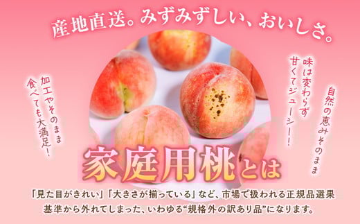 ◆2026年夏発送◆＜家庭用 食べ比べ定期便 約5kg×2回＞ ※離島への配送不可 ※2026年7月上旬～8月下旬頃に順次発送予定｜ 先行予約 予約 数量限定 桃 もも モモ 果物 くだもの フルーツ 詰め合わせ 福島 ふくしま