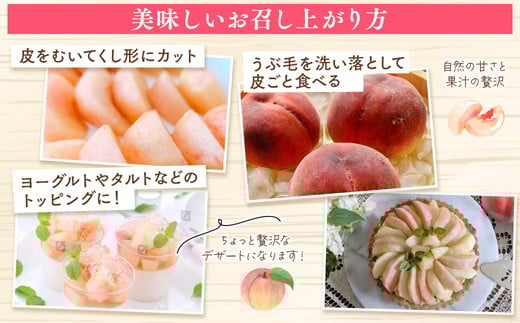 â2026幎å€çºéâææïœç£çŽã»æ¡ã»çŽ2kgïœ â»é¢å³¶ãžã®é
éäžå¯ â»2026幎7æäžæ¬ïœ7æäžæ¬é ã«é 次çºéäºå® ïœ å
è¡äºçŽ äºçŽ æ°ééå® æ¡ ãã ã¢ã¢ æç© ãã ãã® ãã«ãŒã è©°ãåãã çŠå³¶ ãµãããŸ